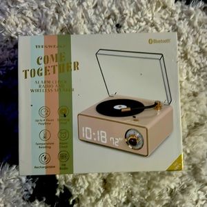 Record player speaker